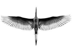 a black and white photo of a bird with its wings spread out in the air