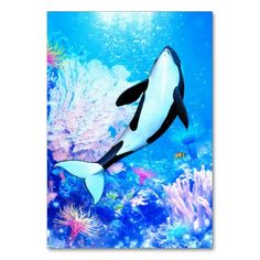 an orca whale swimming in the ocean with corals and other marine life around it