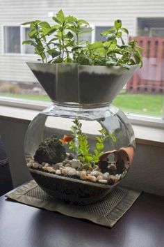 a glass vase filled with plants sitting on top of a table next to a window