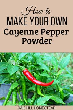 how to make your own cayenne pepper powder in the garden with text overlay