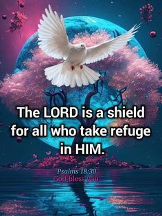 the lord is a shield for all who take refuge in him prays upon god