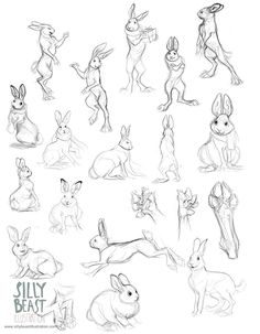 an image of some animals that are in the style of cartoon character sketches for animation