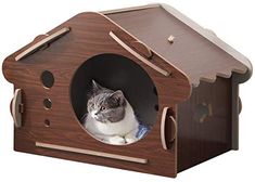 a cat sitting in a wooden house shaped like a birdhouse with holes on the roof