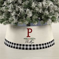 a potted plant with the letter p on it