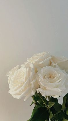 some white roses are in a glass vase