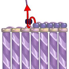 an image of some purple candles with one red arrow