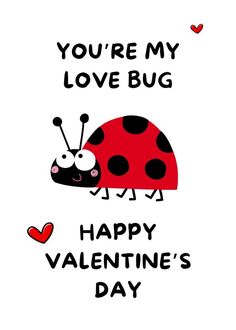 a ladybug valentine card with the words you're my love bug happy valentine's day