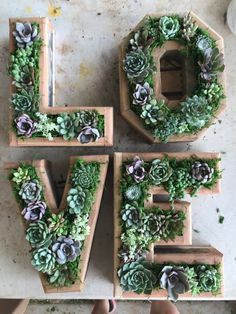 the letters are made out of succulents and wood