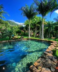 an outdoor swimming pool surrounded by palm trees and water features clear blue water, with rocks in the foreground