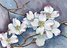 a painting of white flowers on a branch