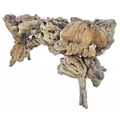 a piece of driftwood is shown against a white background