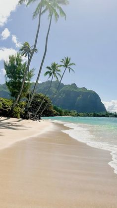 a beach with palm trees on the shore and mountains in the backgrouds