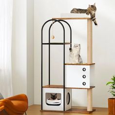 two cats sitting on top of a cat tree