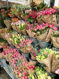 many different colored tulips are in buckets