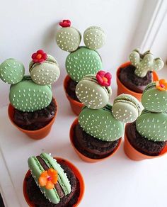 some cupcakes with green frosting and flowers on them are sitting in small pots