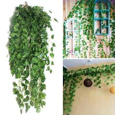 Specification: Type:Artificial Ivy Garland Material:Plastic Color:Green Quantity: 1Pcs, 2Pcs Total Length:94cm/37inch Product Size:26x16x3.5cm Package included: 1/2 Pcs x Artificial Ivy Garland Notice: 1.Please allow 1-5cm error due to manual measurement and make sure you do not mind before ordering. 2.Please understand that colors may exist chromatic aberration as the different placement of pictures. Vines For Bedroom, Fake Vines, Artificial Vines, Ivy Garland, Artificial Hanging Plants, Hanging Vines, Chromatic Aberration, Hanging Plants, Artificial Plants