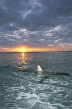 the sun is setting over the ocean as it reflects in the water