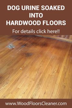 hardwood floor sanding with the words dog urine soaked into hardwood floors for details click here