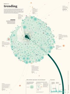 an info poster showing the different types of flowers and how they can be used to decorate them