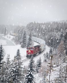 a red train traveling through a snow covered forest next to evergreen trees on a snowy day