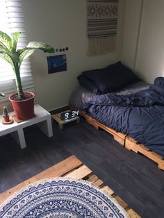 a room with a bed and a plant on the floor next to a window in it