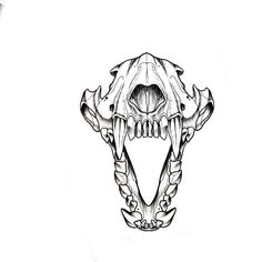 a black and white drawing of a large animal's skull with sharp fangs on it