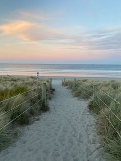 the path to the beach is lined with grass