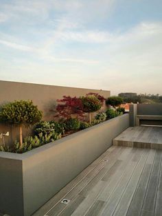 an outdoor deck with planters and trees on the wall, in front of a building