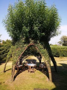 an outdoor dining area with tables and chairs under a large green plant covered arbor in the yard