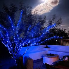 blue lights are on the branches of a tree