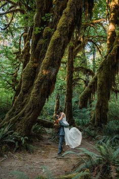 Groom romantically lifts up his bride to pose for photos after saying their vows at the Hall of Mosses. Olympic National Park Wedding, Olympia National Park, Forest Wedding Washington State, My Rainier Elopement, Mount Rainier National Park Elopement