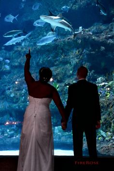 a bride and groom standing in front of an aquarium