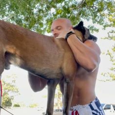 a man holding a dog in his arms