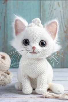 a white kitten sitting on top of a wooden floor