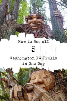 a wooden statue in the woods with text overlay that reads how to see all 5 washington north trolls in one day