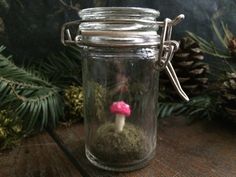 a tiny pink mushroom sitting in a glass jar