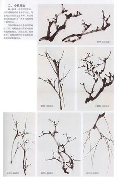 four different pictures of branches with small leaves