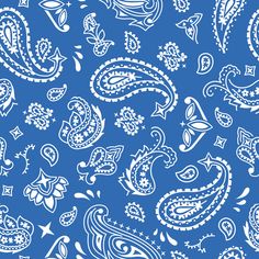 a blue and white paisley pattern