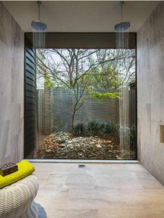 an iphone photo of a bathroom with trees in the window and plants on the floor