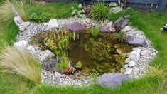 a small pond surrounded by rocks and grass