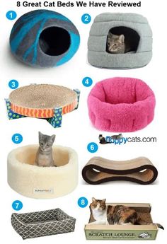 cat beds that are great for small cats