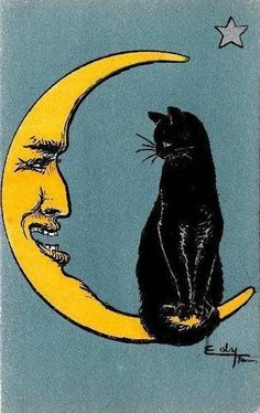 a black cat sitting on top of a crescent moon next to a man's face