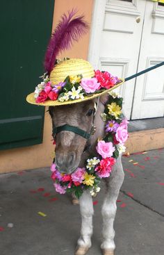 a small horse wearing a hat with flowers and feathers on it's head while standing in front of a door