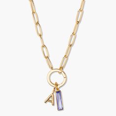 Add some personalized style to your look with the Colette Birthstone Elongated Initial Necklace. Featuring an elongated birthstone charm and custom initial charm, this gold necklace is secured with a convenient hinge closure. Express yourself with this unique and chic accessory. Mackenzie Elongated Birthstone Charm: Available in 14k gold plated sterling silver, Size: 15mm x 4mm Cubic Zirconia charm Stevie Initial Charm: Available in 14k gold plated brass, Initial size: 1/2" tall, width varies Co Tennis Jewelry, Birthstone Colors, Initial Necklace Gold, Chic Accessories, Birthstone Charms, Initial Charm, Birthstone Necklace, Gold Plated Sterling Silver, Initial Necklace