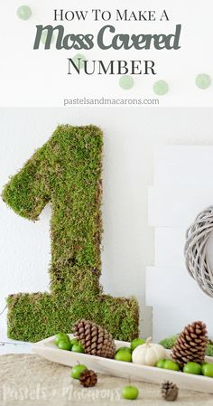 moss covered number sitting on top of a table next to pine cones and green apples