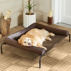 a golden retriever laying on top of a dog bed in the middle of a room