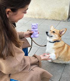 a woman sitting on the ground petting a small dog with a toy in its mouth