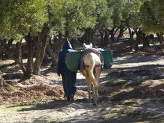 a man walking down a dirt road with a horse on it's back in the woods