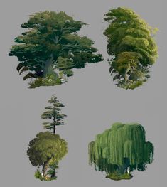 four different types of trees are shown in this image