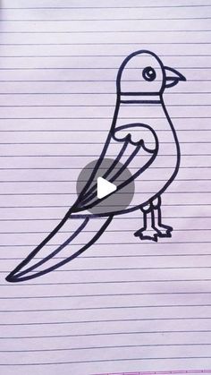 a drawing of a bird on lined paper